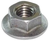 Stainless Steel Flange Nut